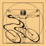 0009997_Haiti_Diagram_Paul_Fallon_101103